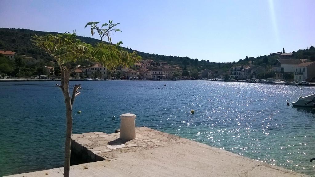 Apartmani Conar فيليكي درفينيك المظهر الخارجي الصورة