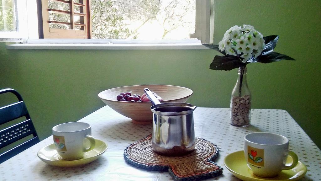 Apartmani Conar فيليكي درفينيك المظهر الخارجي الصورة
